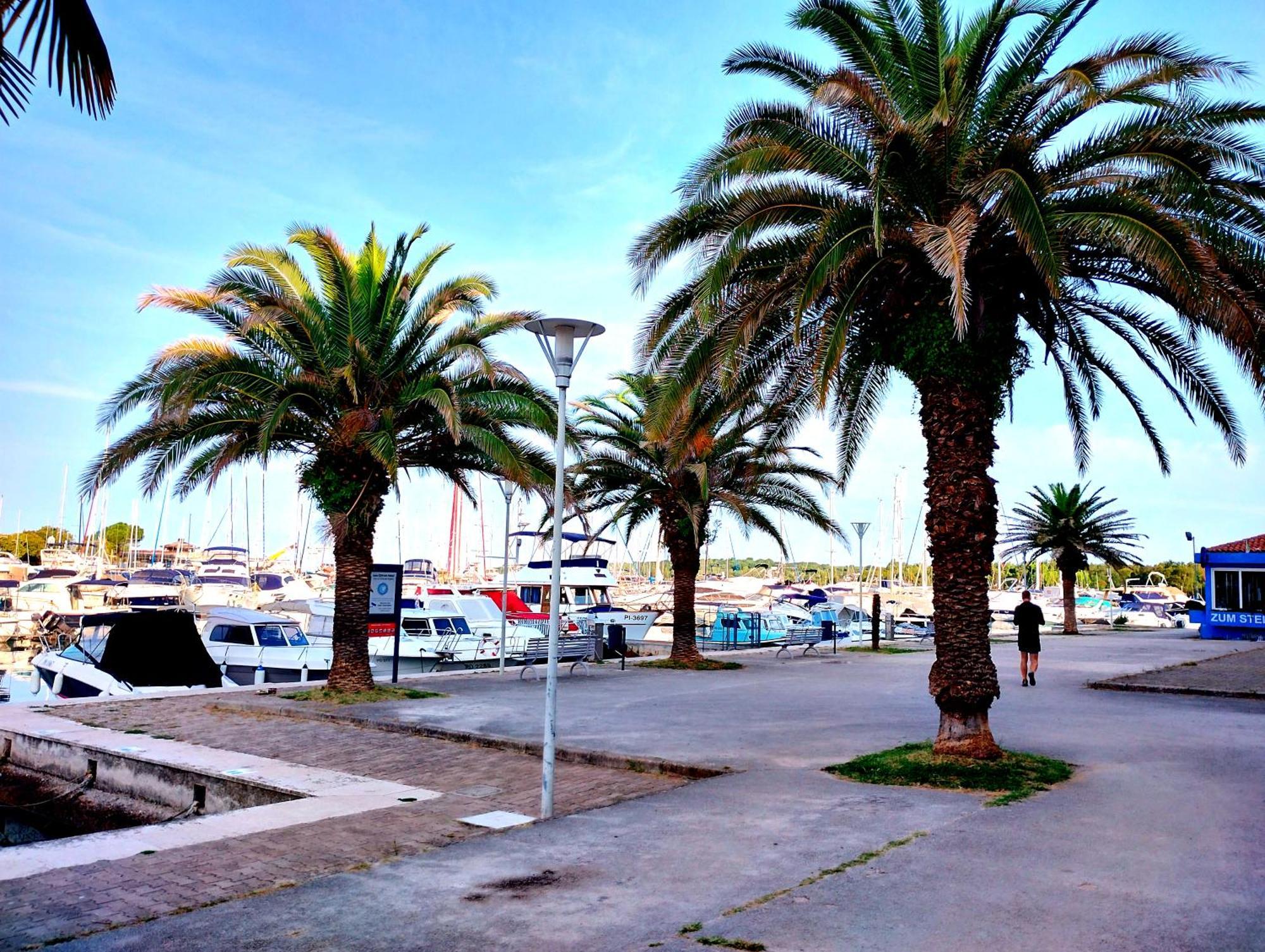 Premium Apartment Eden Porec Exterior photo